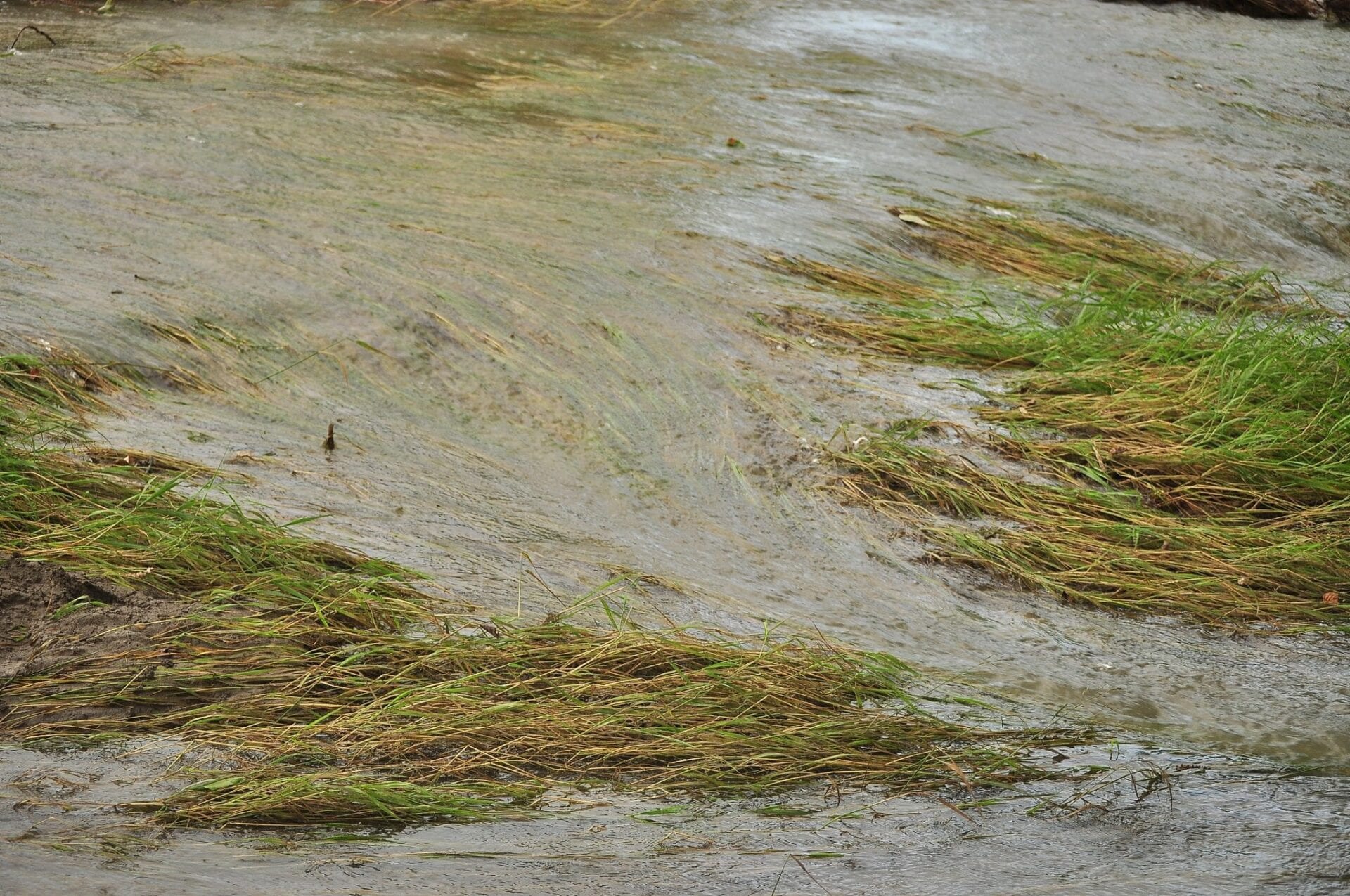 calgary-flood fishcreek- fish creek (7)