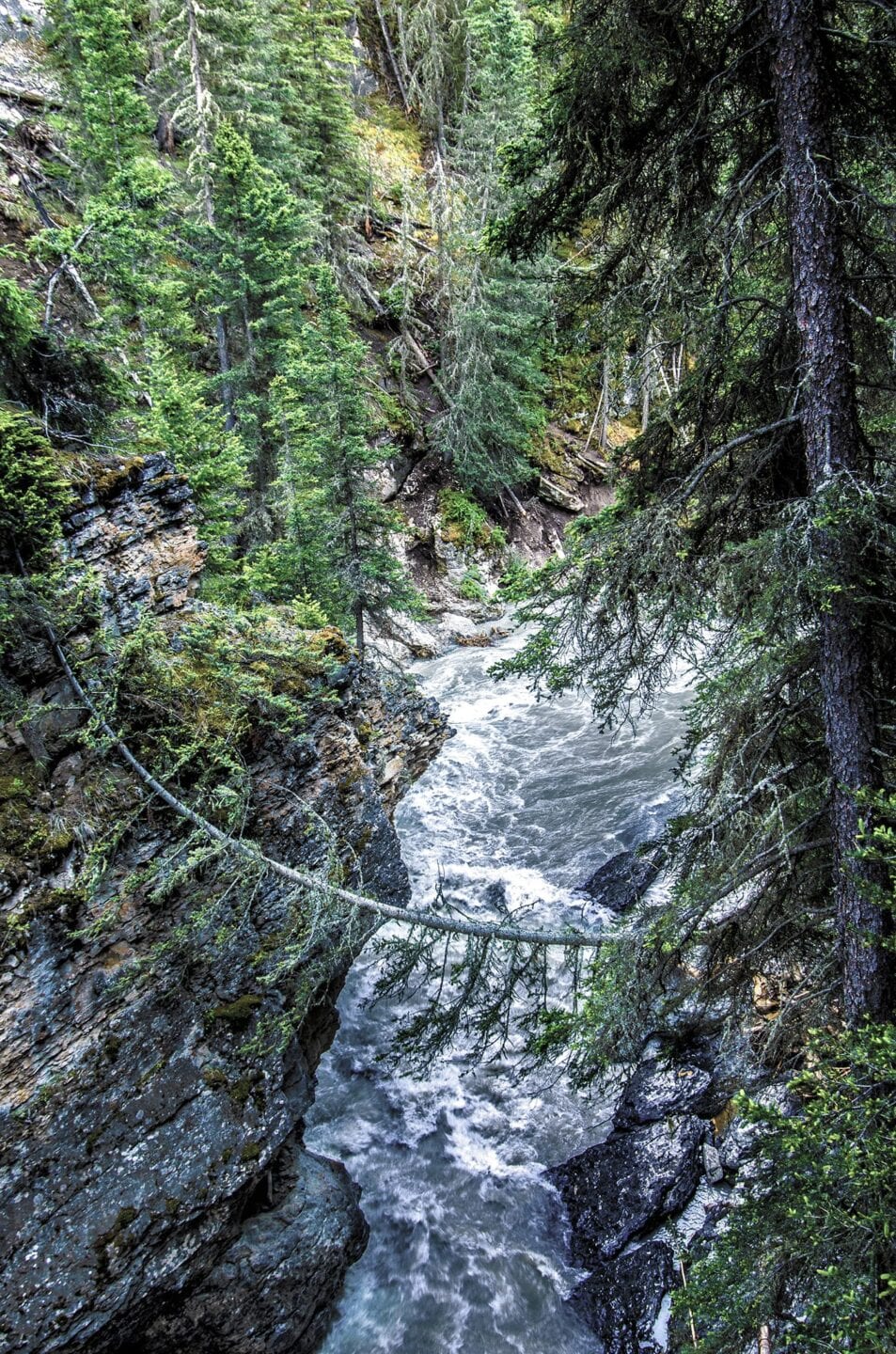 Banff Johnston Canyon Flood Destruction