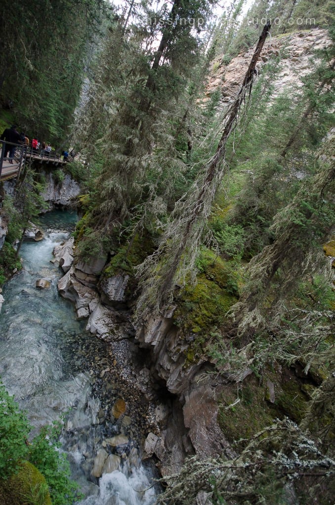 Johnston Canyon Creek-Banff Canada-Alberta014