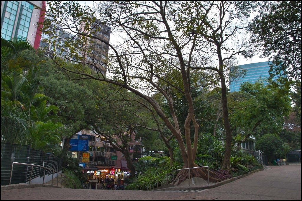 Kowloon Park Hong Kong tsim sha tsui (8)